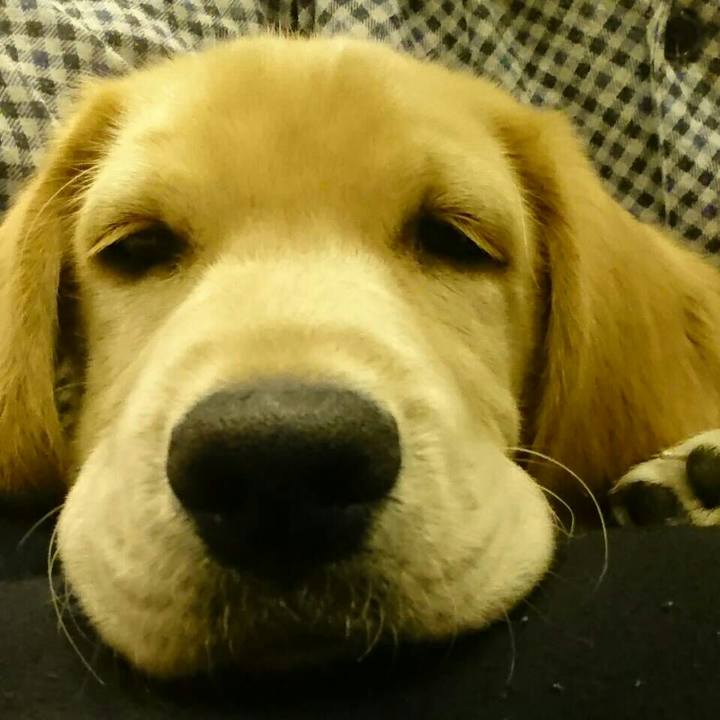 Bb18207d bf71 4a42 bd3a 42c863ebd4fe