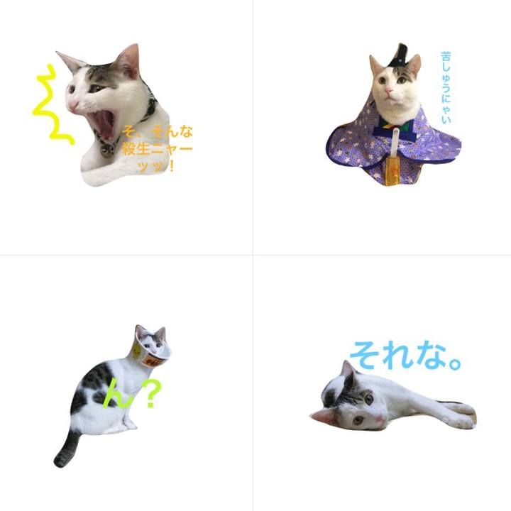 Bb1895f6 a4b8 4c3c 9eed fffe3d189940