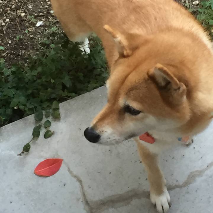 Bb18ccd6 d18e 4da9 ba63 07112f2b0dc4