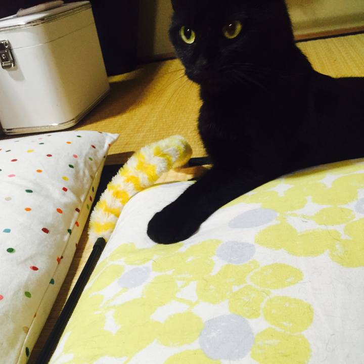 Bb190101 a086 4ce3 9672 4225ca76f07e