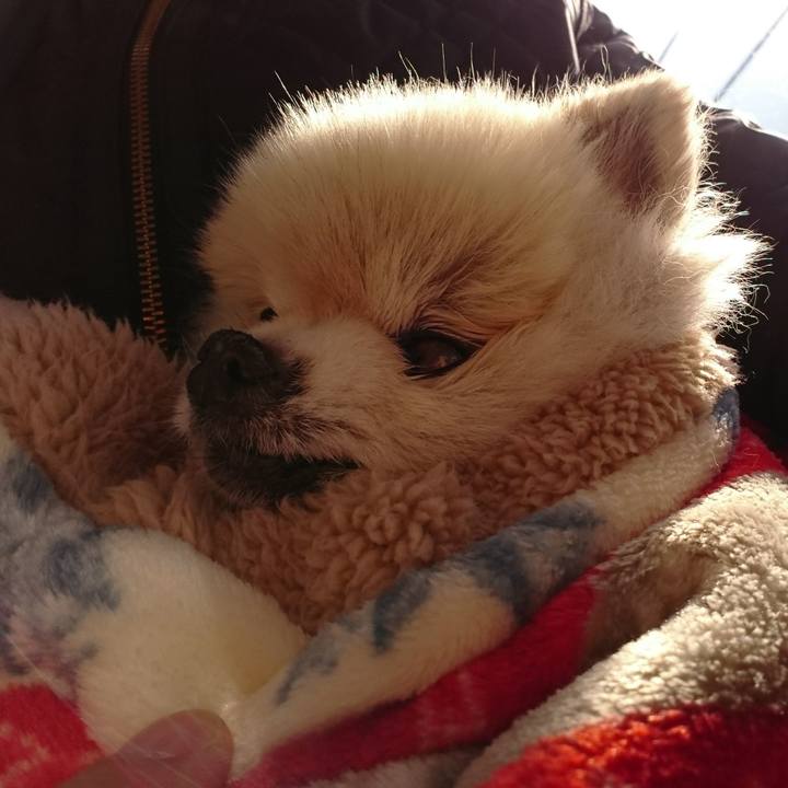 Bb19ca71 2546 42d5 b213 32c11dc1c0e4