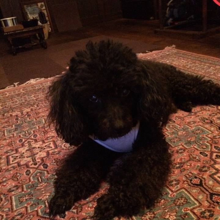 Bb1a03c5 0c37 42d1 90b5 c53663be6c3b