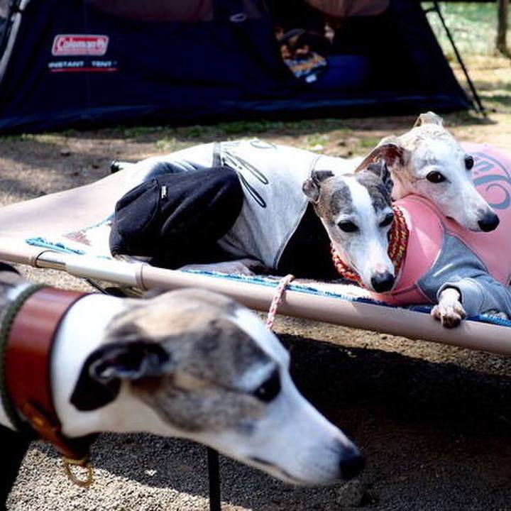 Bb1aad39 b834 4d05 9d51 63b2cc73c703