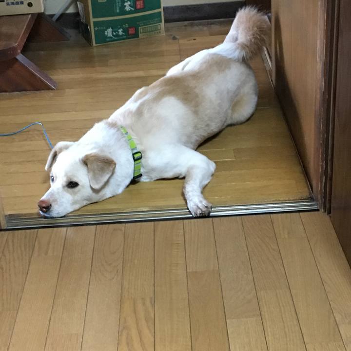 Bb1b06c8 94e4 40f4 b6a2 2ae78bdbc068