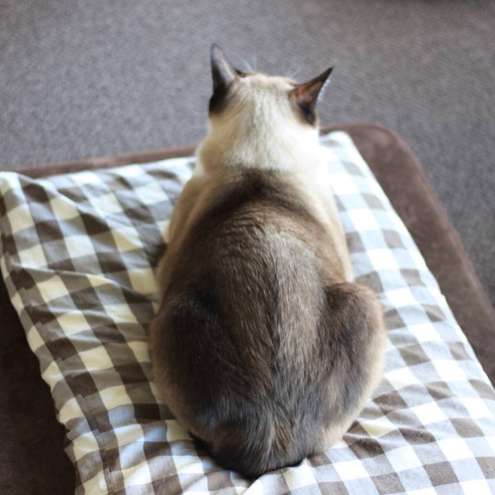 Bb1b96fa f3fa 4db9 9741 eb32f9615fc4