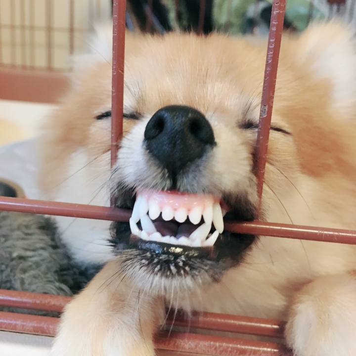 Bb1c6446 074c 4017 a1bb c868974e337b