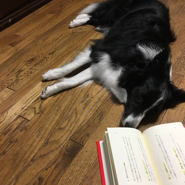 Bb1c9952 5e51 4c6d 8039 f217abd88000