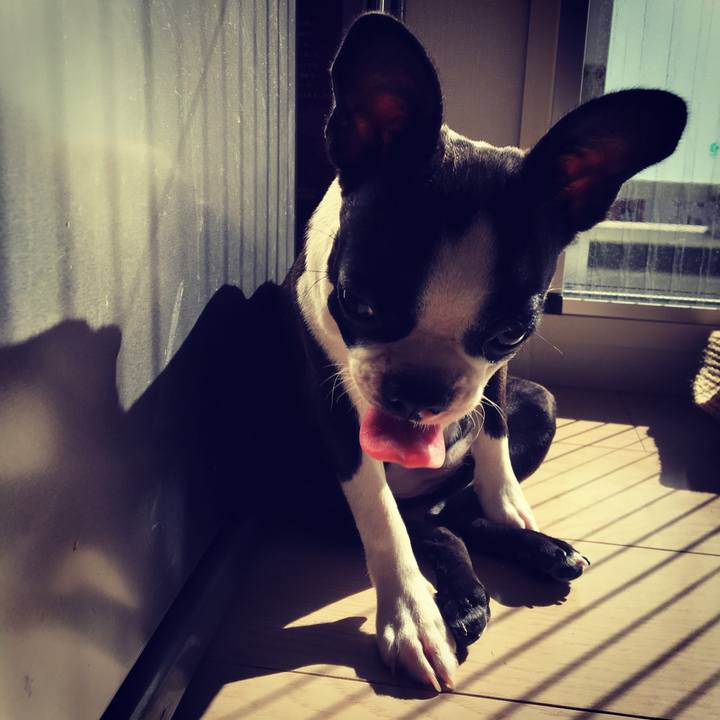 Bb1d2cc7 9100 4935 8096 e80abd38dace