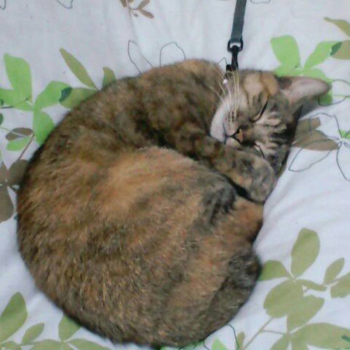 Bb1d9dd4 a3a0 4c83 8c89 adec0aea8e73