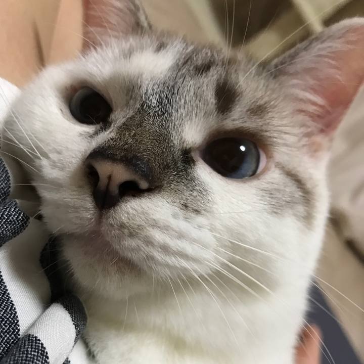 Bb1dad7e 9e6d 4310 9ea6 124d04a61b5f