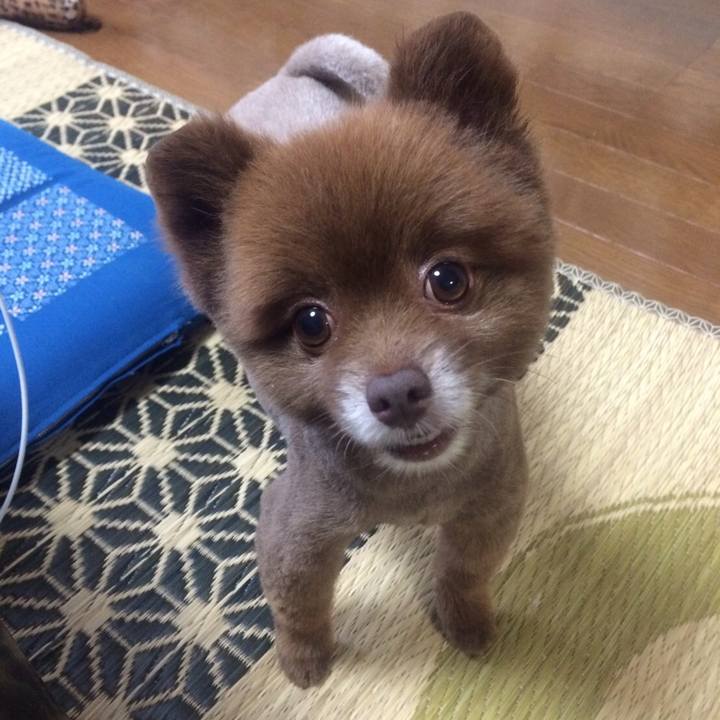 Bb1e9853 6b47 458a 80dd 354b7e8dc648