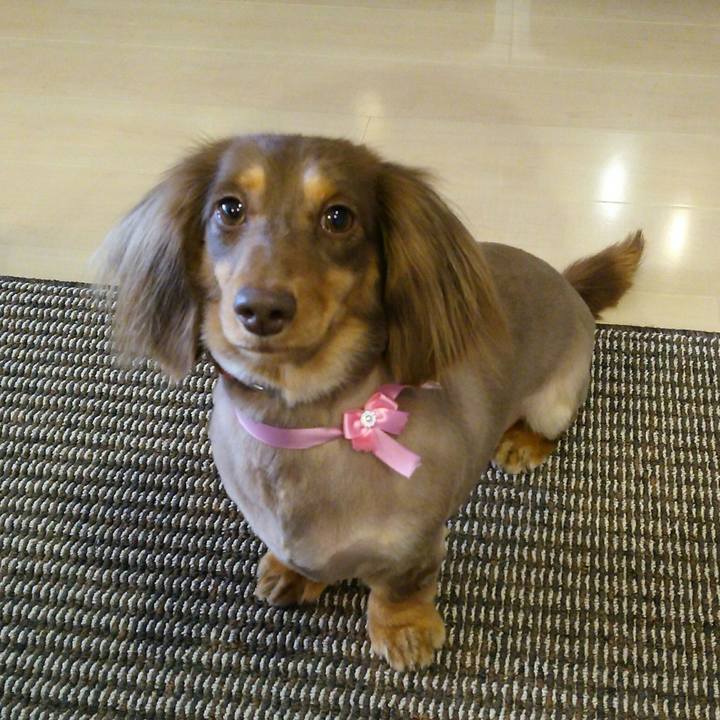 Bb1ea50c f268 4672 8e24 f664d9f875b8