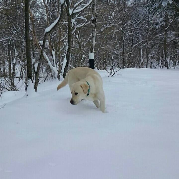 Bb1f14b5 3106 4b67 b6d6 83bf13dc095a