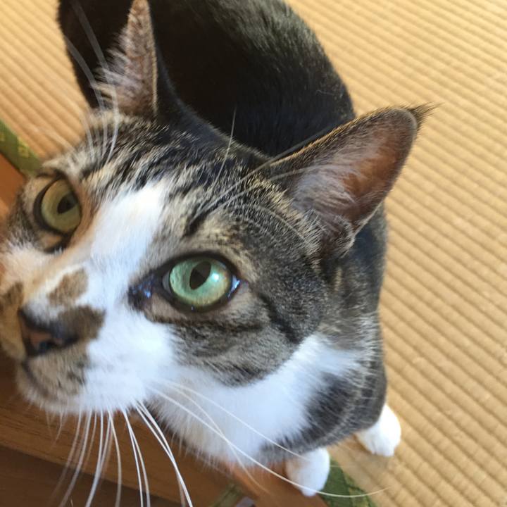 Bb1f7e4e 8179 476d ad49 b812c1f9c3dd