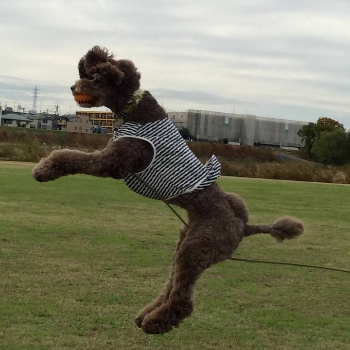 Bb2099b0 d4c7 4397 8d4a 7acf11abc26e