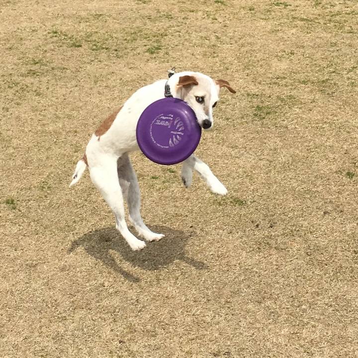 Bb20ac24 c993 4b8c a67e 9d0f3d77f1ca