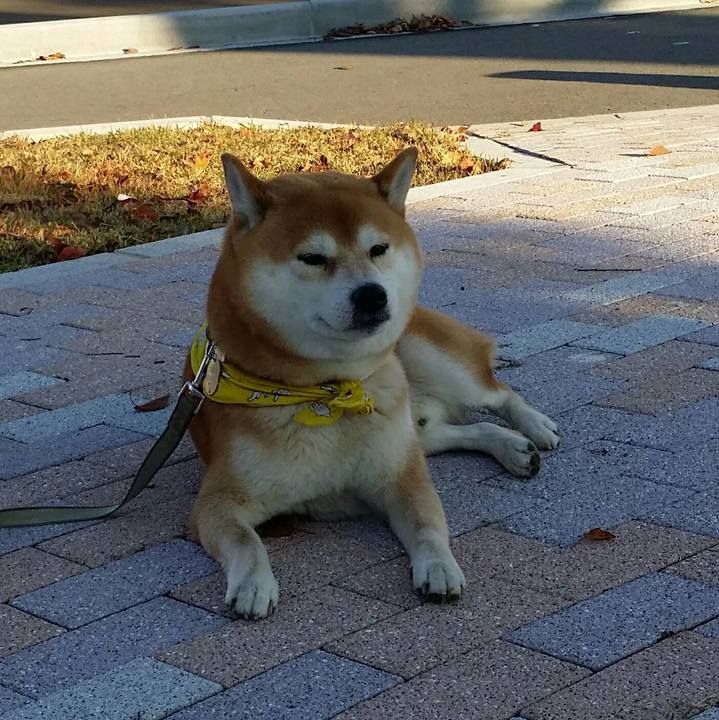 Bb20dd1f 06c8 4d8d be71 a9dae16ba4d2