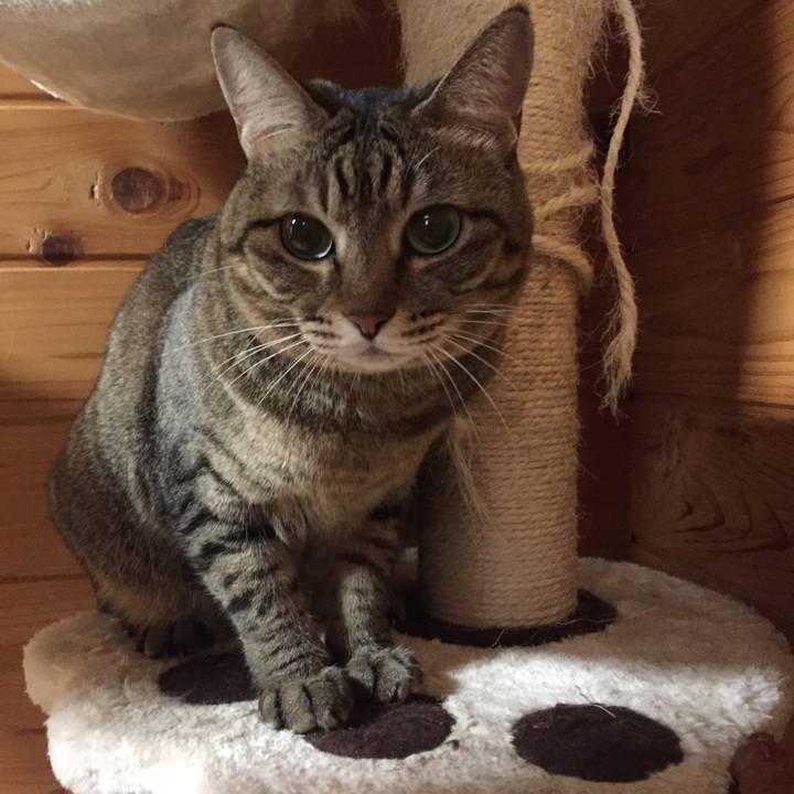 Bb222dc9 ce9f 443f 874f 5ca9e81dce23