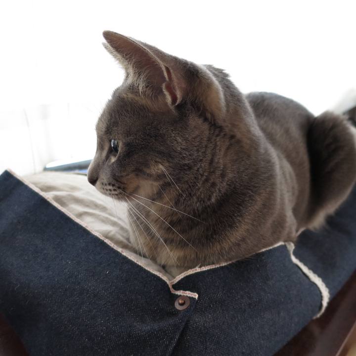 Bb224667 0c30 4c7e 87b1 47299d17fe70