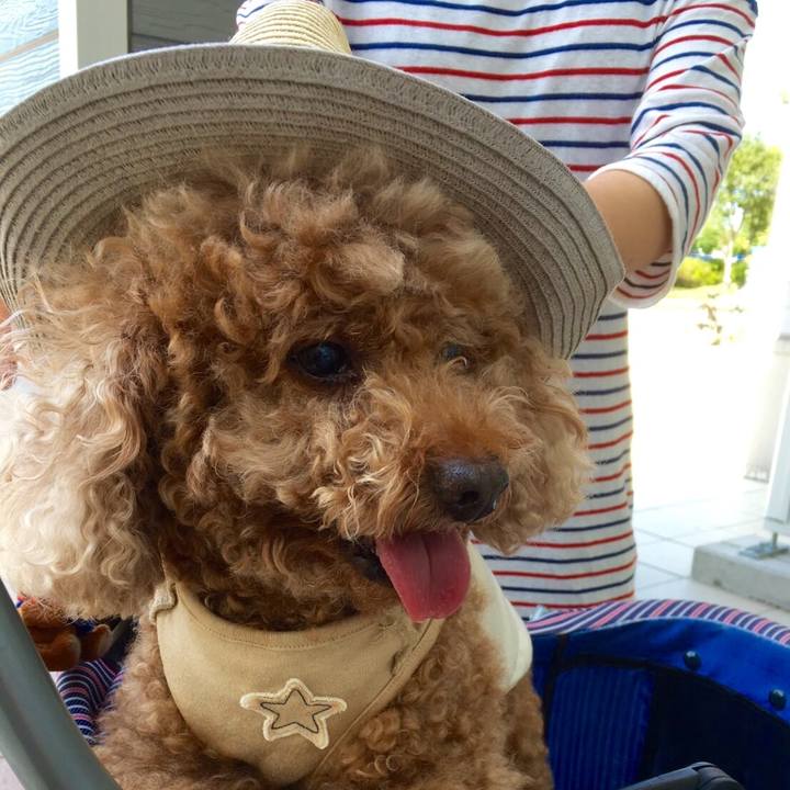 Bb2390a8 54aa 43ac 9d05 d9dc7a6d14be