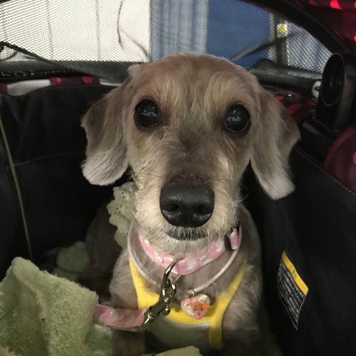 Bb2422b1 53f2 431e 8139 c6ad4dc9dd72