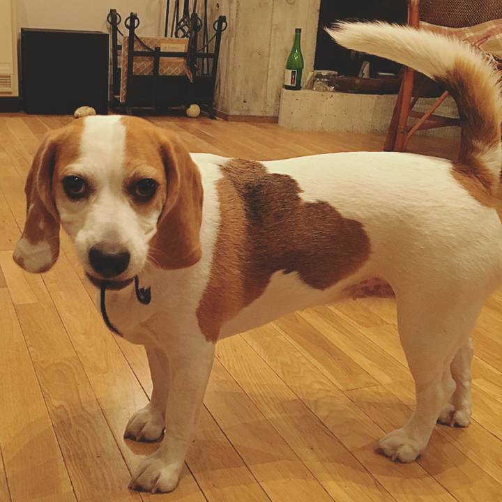 Bb244f34 46bb 4ee7 a21b 26cbd661832b