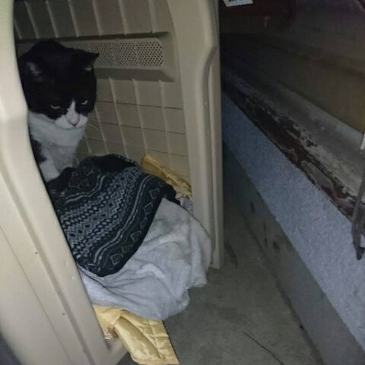 Bb2502e4 c569 4662 a4c6 1d41626ec306