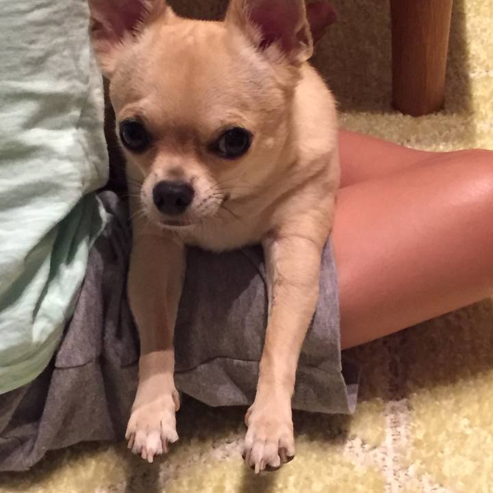 Bb2542e2 d228 46f4 97a1 894aaf3dc85b