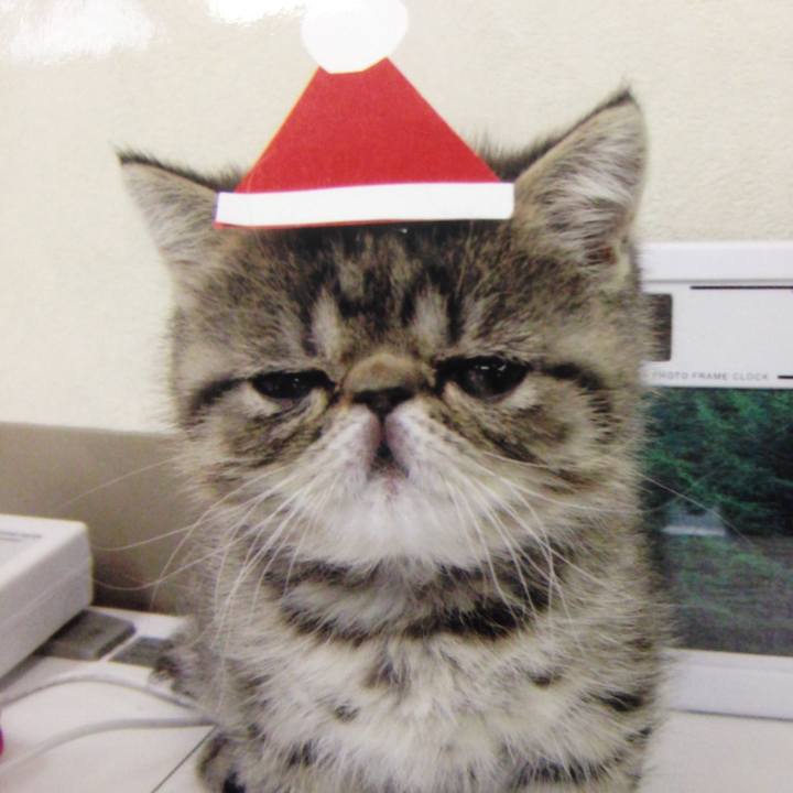 Bb260233 4280 4ac0 a890 f72a2cd40d89