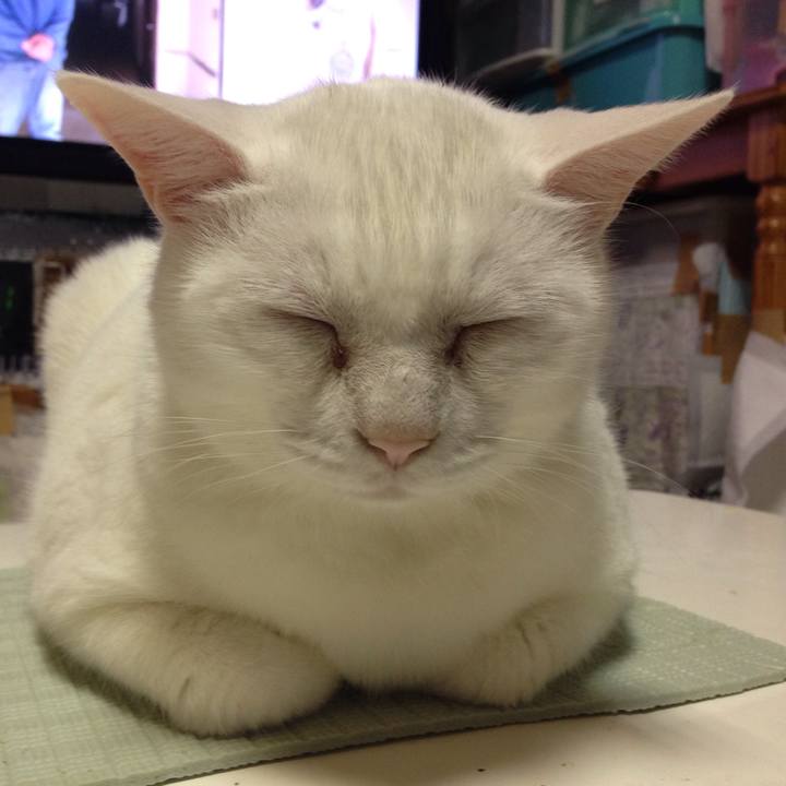 Bb2616da 0a38 423a ac6f 29b087ea1450