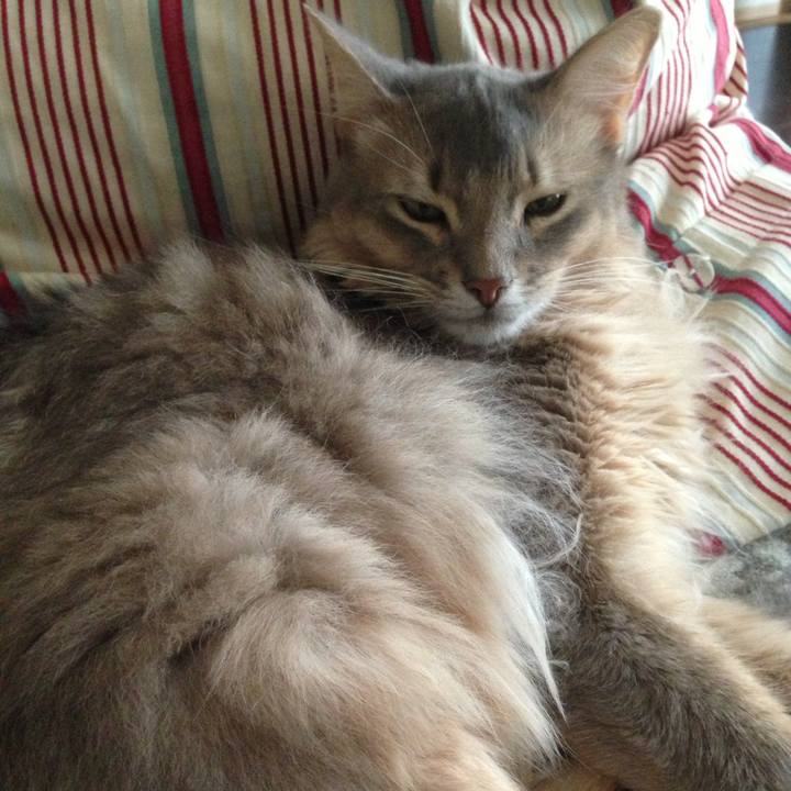 Bb26b4b8 e42a 4851 a90b 96b78fa36a12