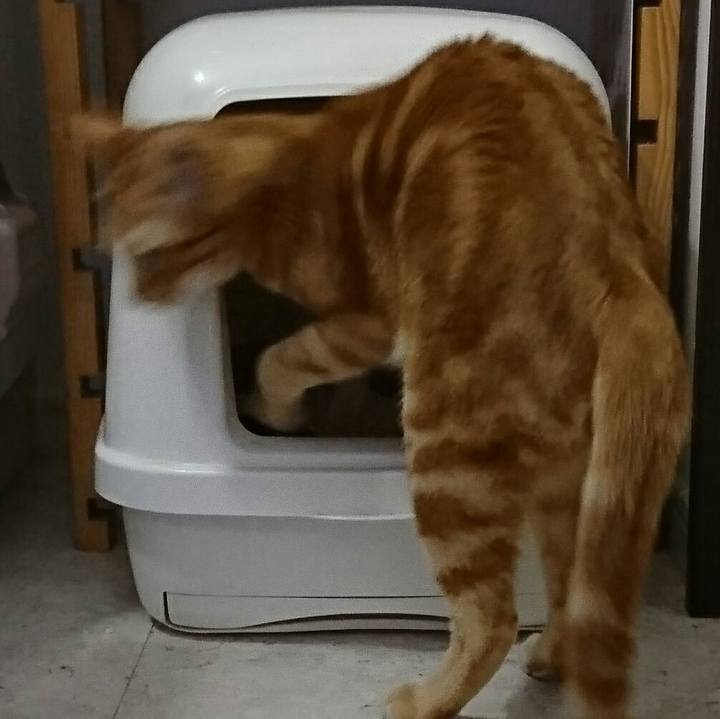 Bb28478b e5dd 48d9 bcbb 67e838a050d6