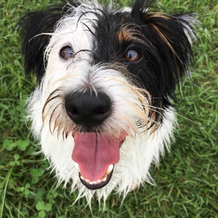 Bb292eaf aadd 44bf 868b c0708f4a4e37