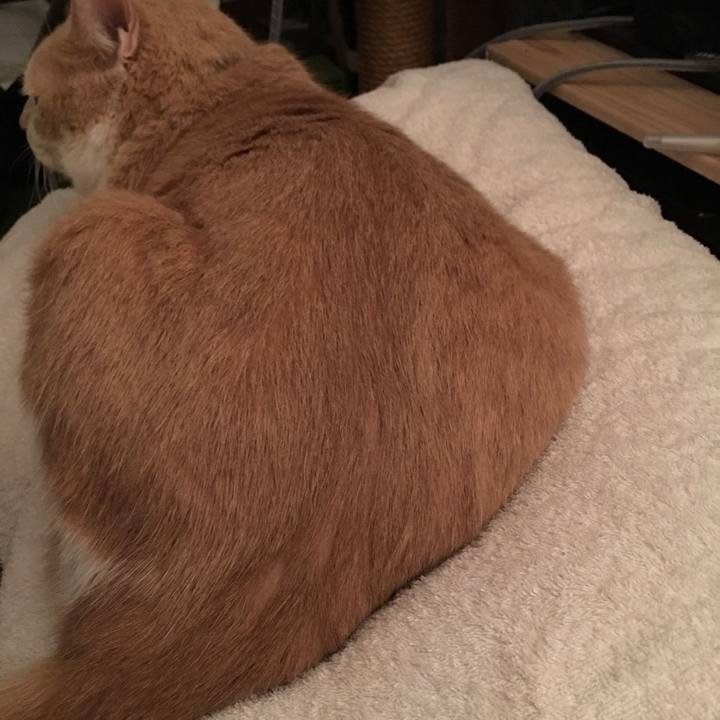 Bb2aa42b cab6 40fe 83ba 46fb4b77dd76