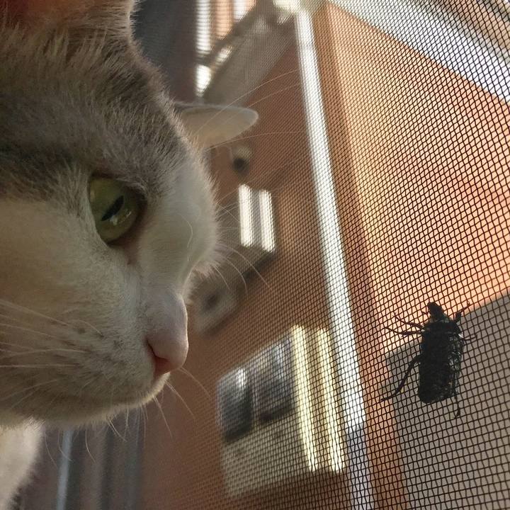 Bb2adf99 0dfe 445f b197 53c5c1999172