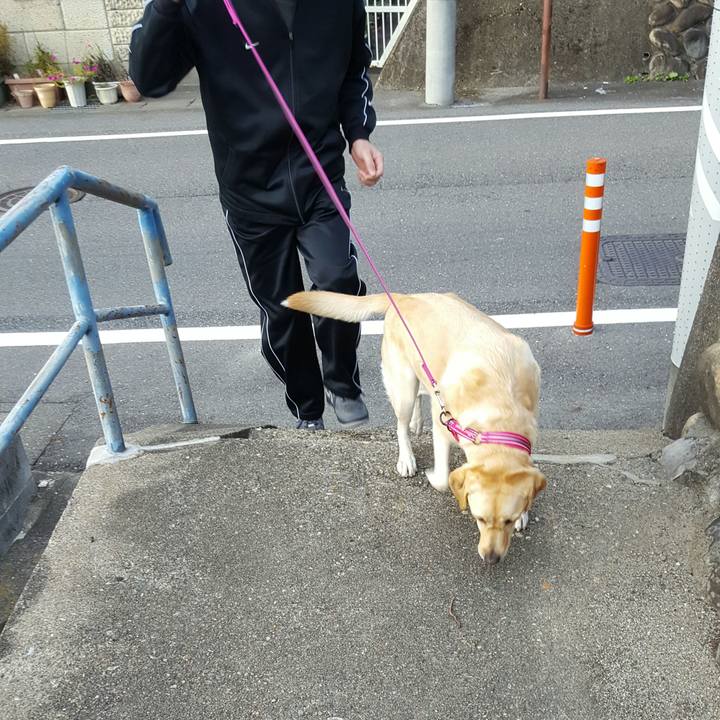 Bb2aefe5 20e7 49d8 b287 a1330657e91d