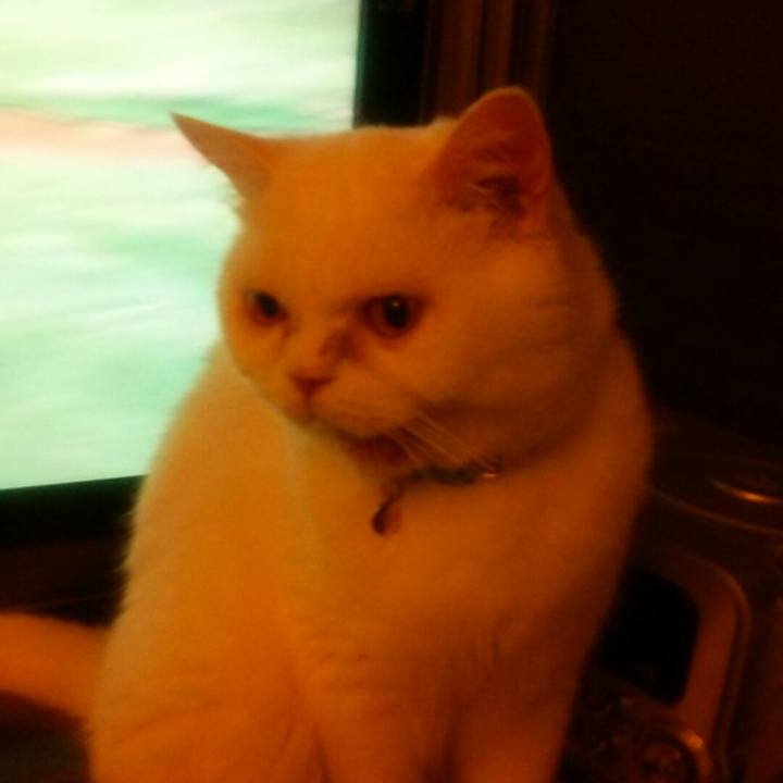 Bb2b41c9 faea 4940 985a 10e203beebd4