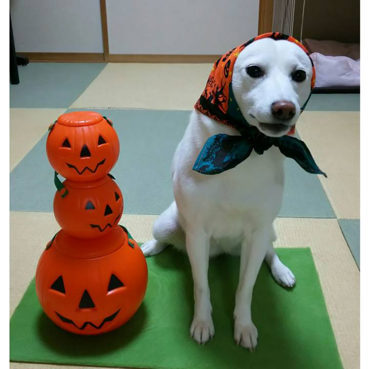 Bb2bcf32 9f51 41fd 8c84 9c0590882d89