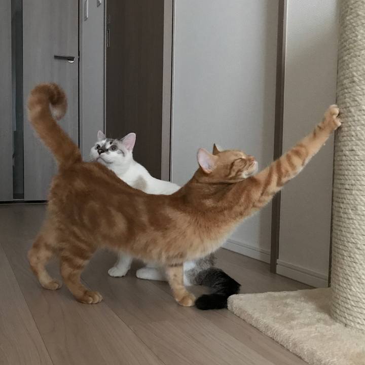 Bb2ca96b 98b7 4423 8493 bee855232217