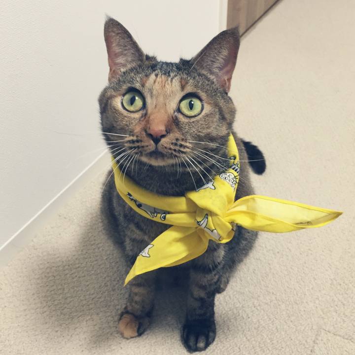 Bb2e05a5 e6ea 4588 843c 3d4ca344a4e4