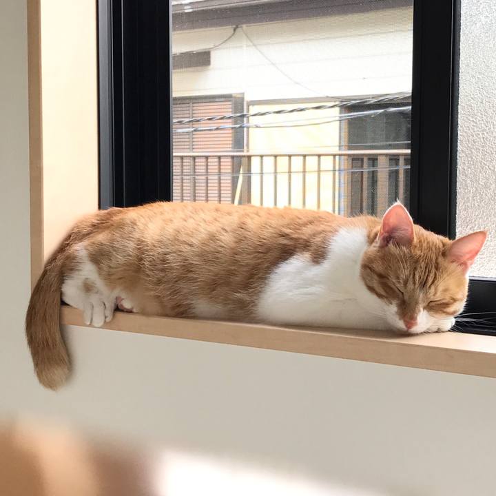 Bb2e430e 6ec0 4ab7 96a9 eb963e93292c