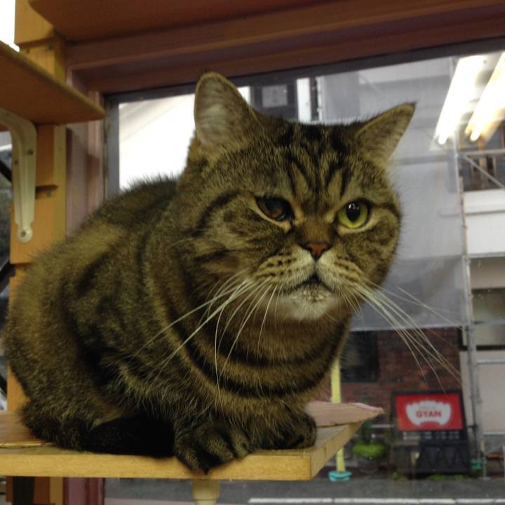 Bb2ec0ea bb54 4792 95d2 01d9a5c9d0bc