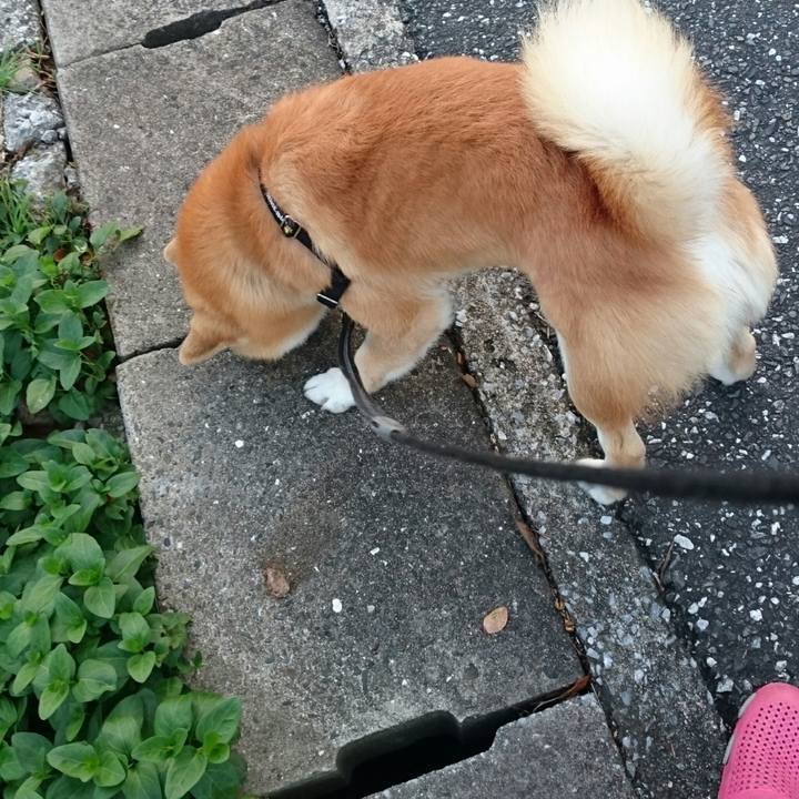 Bb2f0e7f ccdc 4caa b9cd d3f544fb59cc