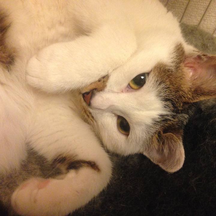 Bb2f812a 0503 404a 91bd c5176424696a