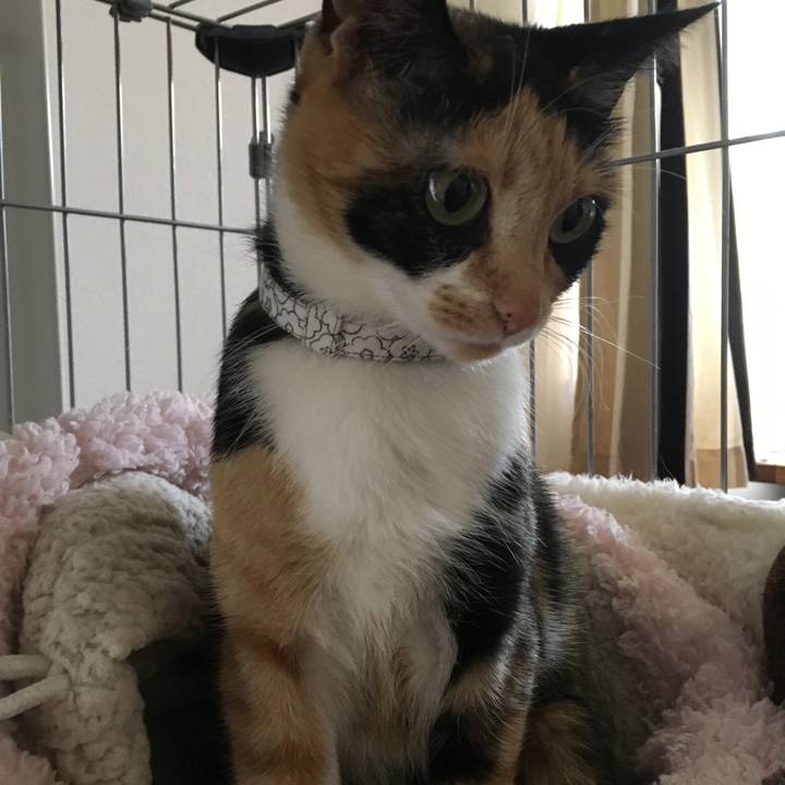 Bb3025d8 ed54 451b 9183 0e45802b5d91