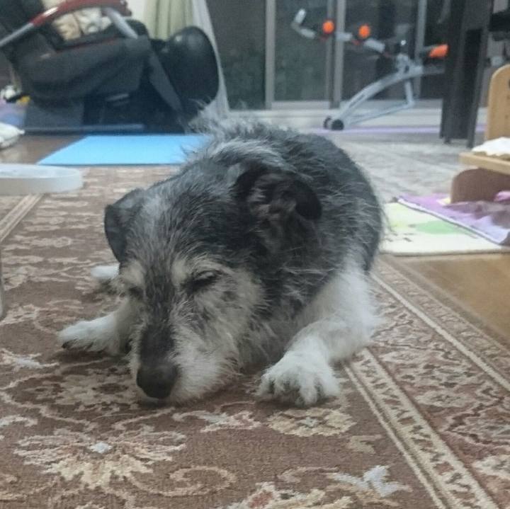 Bb305f7a 6e1d 4383 91ff b6649ed83223