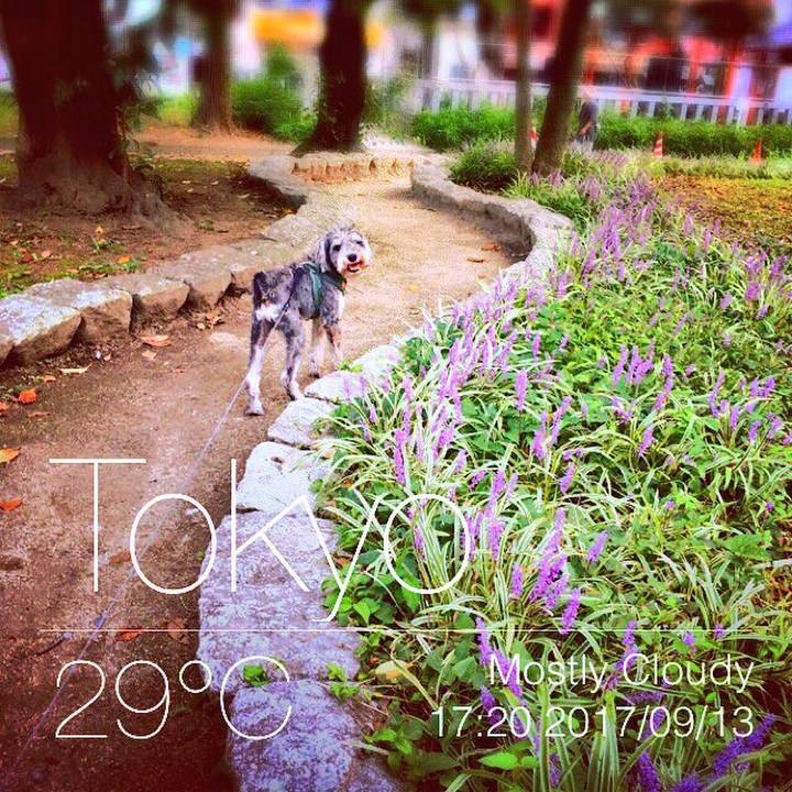 Bb306b20 4c26 40cc bda9 850501d0cd0f