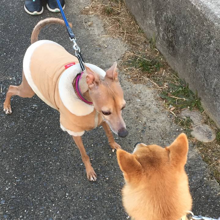 Bb31f465 2e45 4558 8881 656bae8b65dd