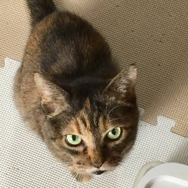 Bb32426e 1cf6 42f1 aec5 e09932f6efde