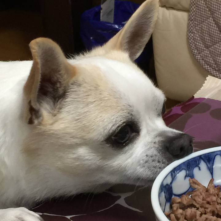 Bb32791c 69df 4678 b215 6650643ace3b